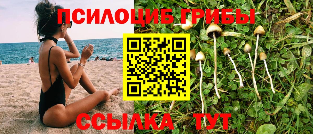 Галлюциногенные грибы Cubensis  Вход с VPN  Сердобск 